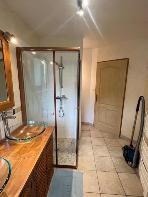 Appartement 5 Personnes Avec Espace Plein Air Saint-Maurice-sur-Moselle Εξωτερικό φωτογραφία