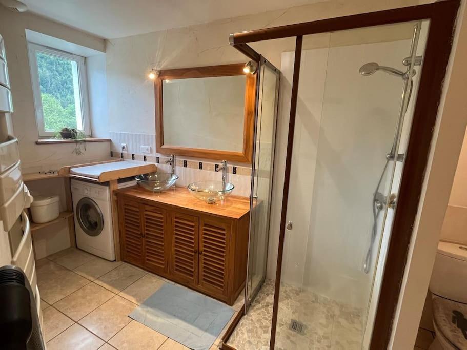 Appartement 5 Personnes Avec Espace Plein Air Saint-Maurice-sur-Moselle Εξωτερικό φωτογραφία
