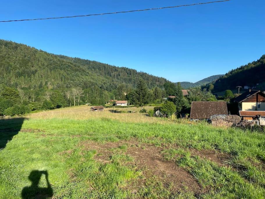 Appartement 5 Personnes Avec Espace Plein Air Saint-Maurice-sur-Moselle Εξωτερικό φωτογραφία