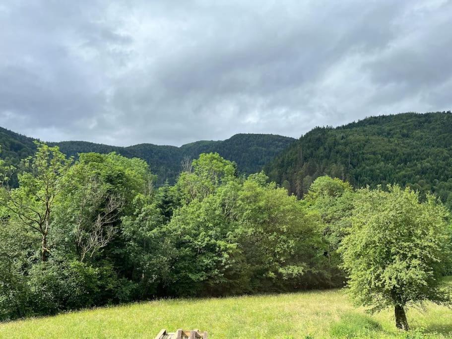 Appartement 5 Personnes Avec Espace Plein Air Saint-Maurice-sur-Moselle Εξωτερικό φωτογραφία